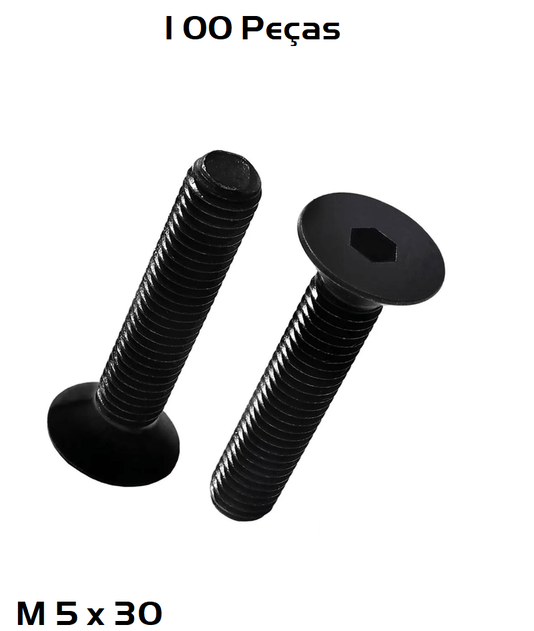 Parafuso Allen M 5 x 30 Cabeça Chata 100 Unidade