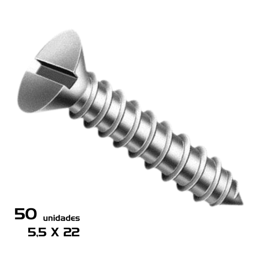 Parafuso Fenda 5,5 X 22 Auto Atarraxante Chata 50 Unidade