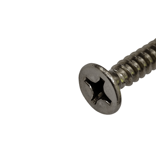 Parafuso Inox 4,8X22 Auto Atarraxante Phillips Chata 100 Und