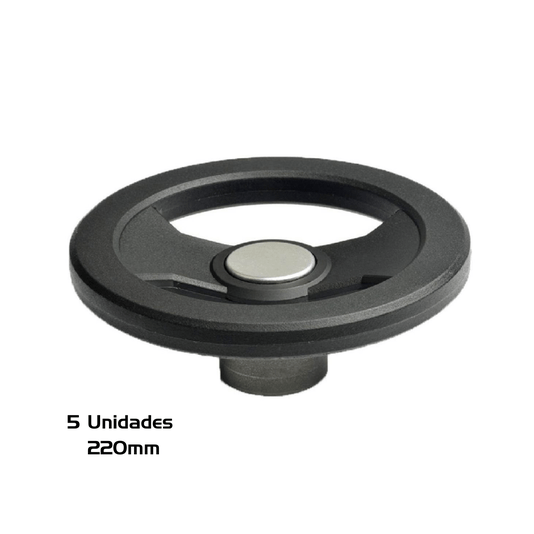 Volante 220mm 2 Raios Cubo em Ferro Fundido V2r 220 - 5 Und