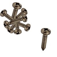 100 Parafuso Inox 3,9 x 19 Auto Atarraxante Phillips Panela