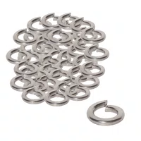 Arruela de Pressão Inox 5/16 Polegada - 10 Unidades