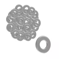 Arruela Inox 7/8 Polegadas Lisa 10 Unidades