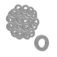 Arruela Inox Lisa 1 Polegada - 10 Unidades