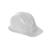 Capacete de Segurança Branco com Carneira