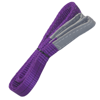 Cinta para Elevação de Cargas 30mm 1 Tonelada - 3 Metros Violeta - Carbografite