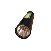 Lanterna Mini Led Bateria Recarregável Usb Brafer