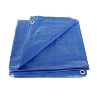 Lona Carreteiro Azul 5 X 3 Mts 70gr 100 Micras Ajax