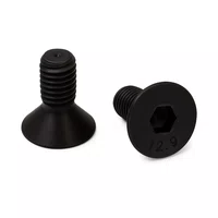 Parafuso Allen M 5 X 12 Cabeça Chata