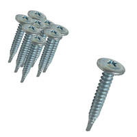 Parafuso Auto Brocante 4,2X13 Phillips Flangeado 500 Und