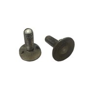 Parafuso Caneca Correia Elevador 5/16 x 1 Polido 100 Unidade