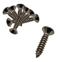 Parafuso Inox 3,5X22 Atarraxante Phillips Chata 100 Unidade