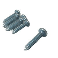 Parafuso Phillips 4,2 X 9,5 Panela Auto Atarraxante 1000 Und