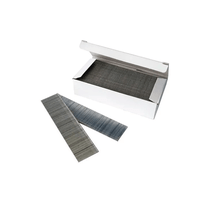 Pino F40 para Pinador Pneumático 5000 Peças Galvanizado