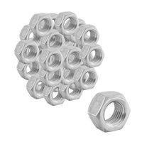 Porca Sextavada 1/4 Rosca Grossa G2 Zincada 100 Unidade