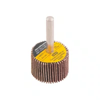 Roda de Lixa com Haste 30 X 20 Mm Grão 80 - Vonder