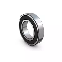 Rolamento 6006 2rsc3 30x55x13 Radial Fag