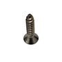 Parafuso Inox 4,8X19 Auto Atarraxante Phillips Chata 100 Und