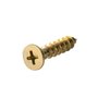 Parafuso Phillips 4.0X16 4.0X25 4.0X45 6.0X60 Chata 500Peças